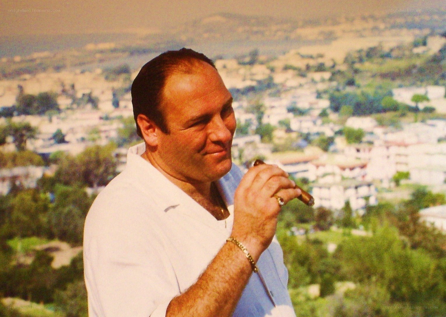 Man with cigar overlooking city