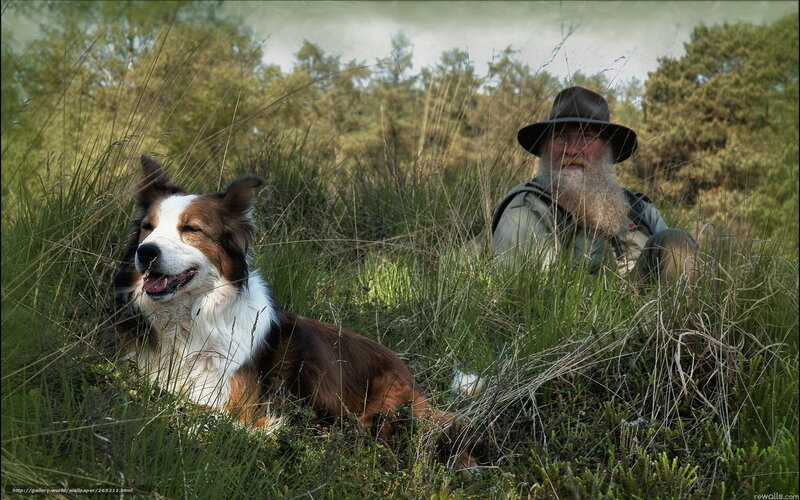 man with dog in grass