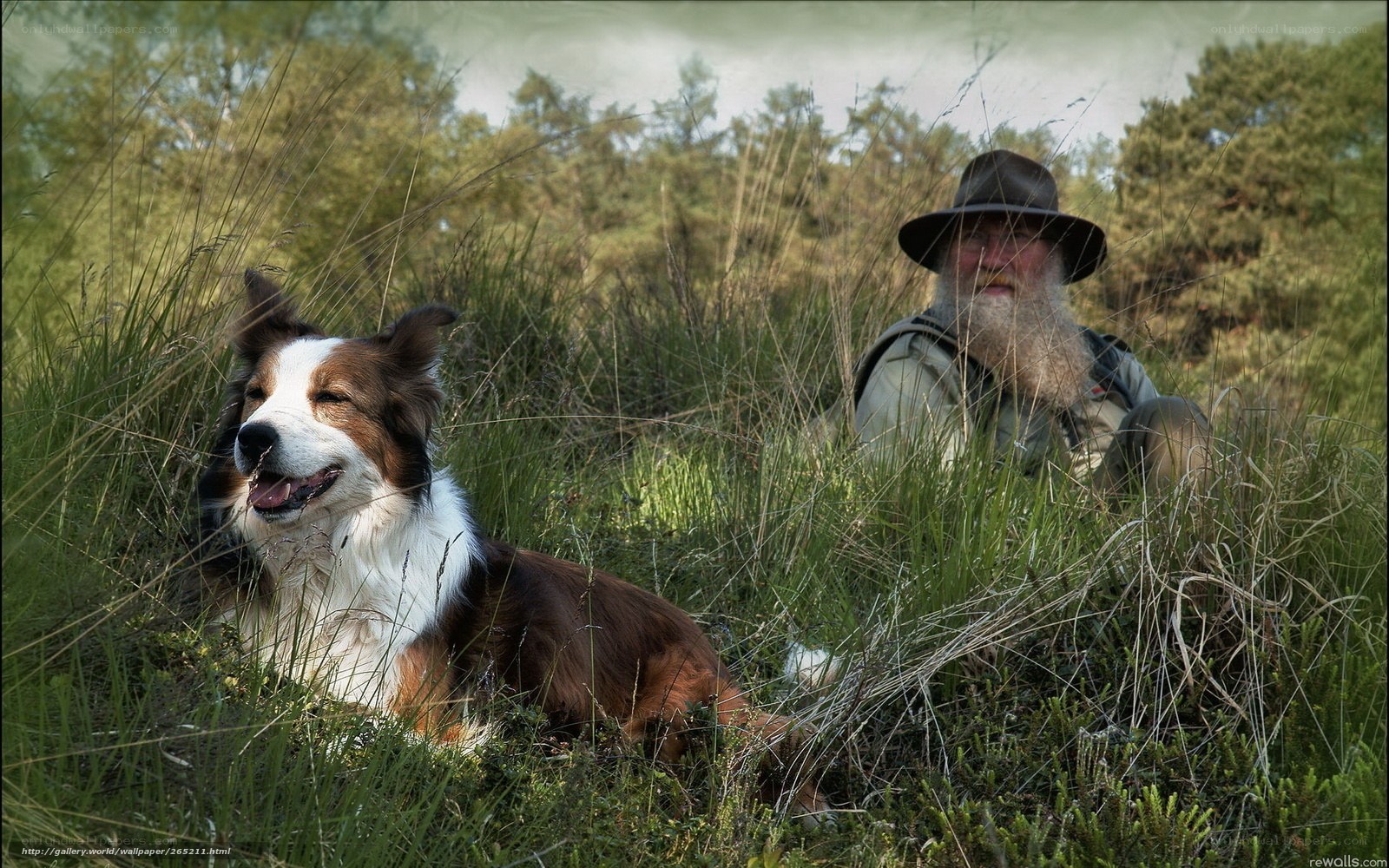 man with dog in grass