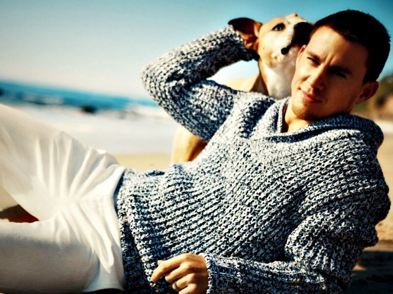 Man with Dog on Beach — Blue