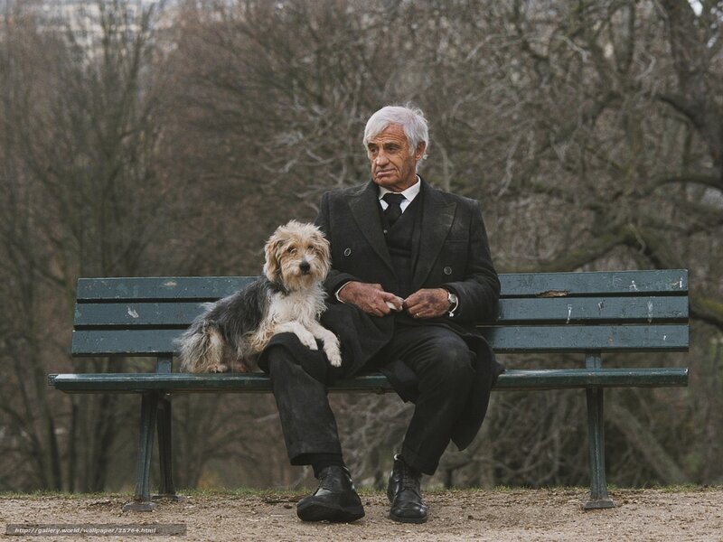Man with dog on bench