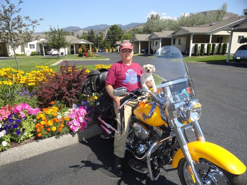 Man with Dog on Motorcycle — Yellow