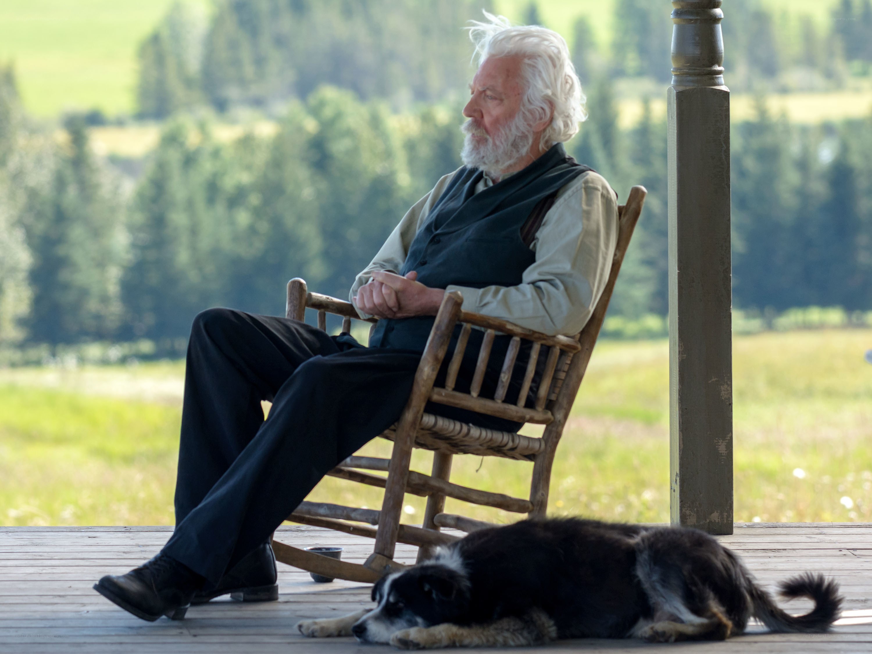 Man with dog on porch