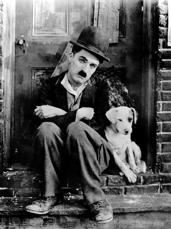 Man with Dog on Steps