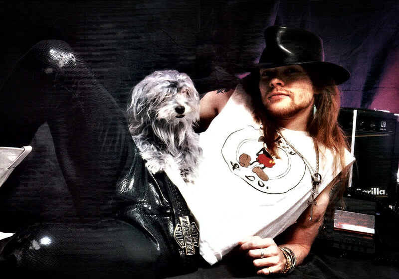 Man with Dog