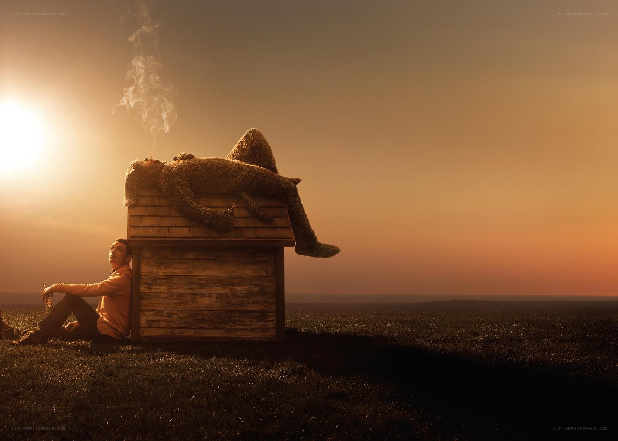 Man with doghouse at sunset
