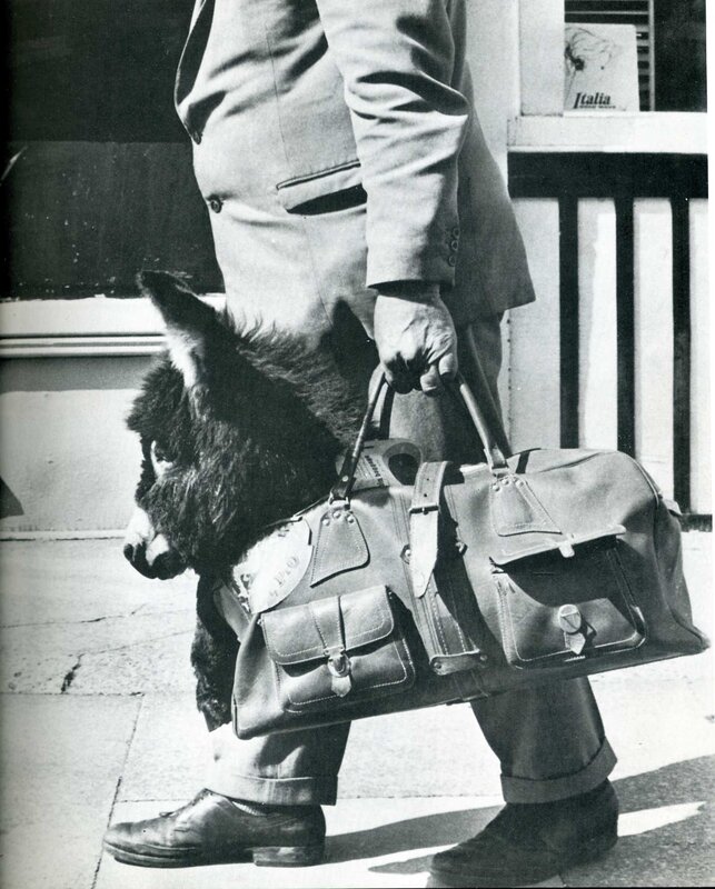 Man with donkey and bag