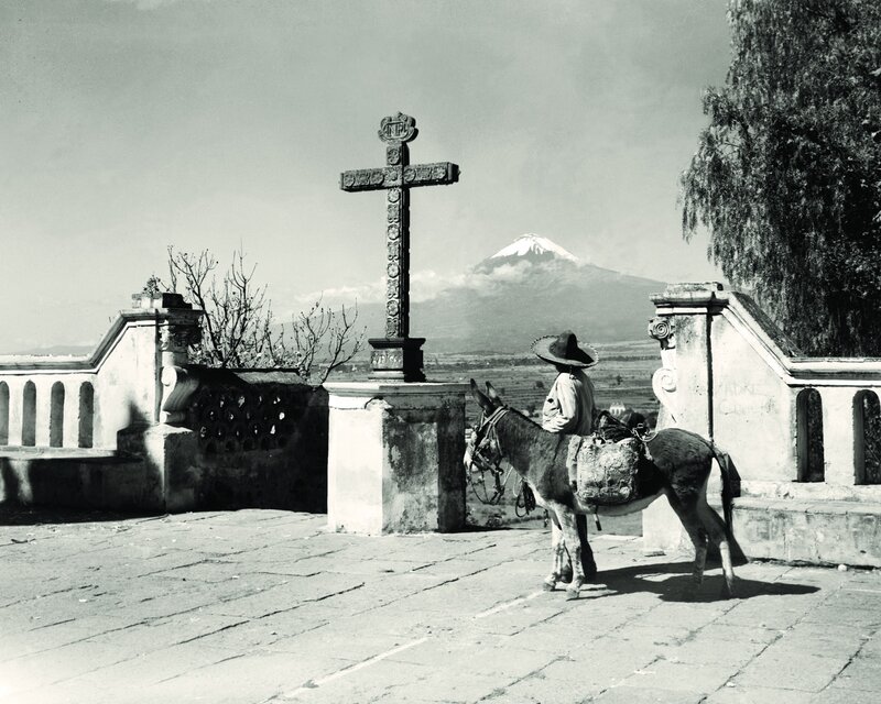 Man with Donkey — Black