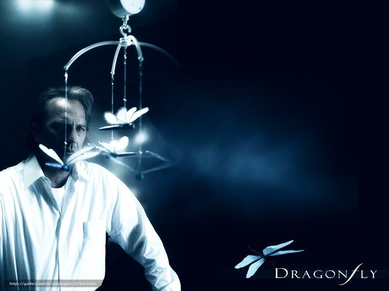 man with dragonfly mobile