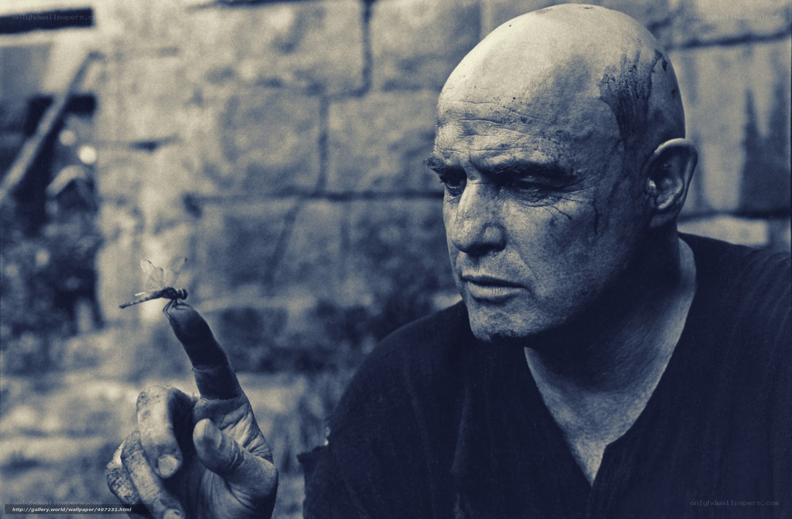 man with dragonfly on finger