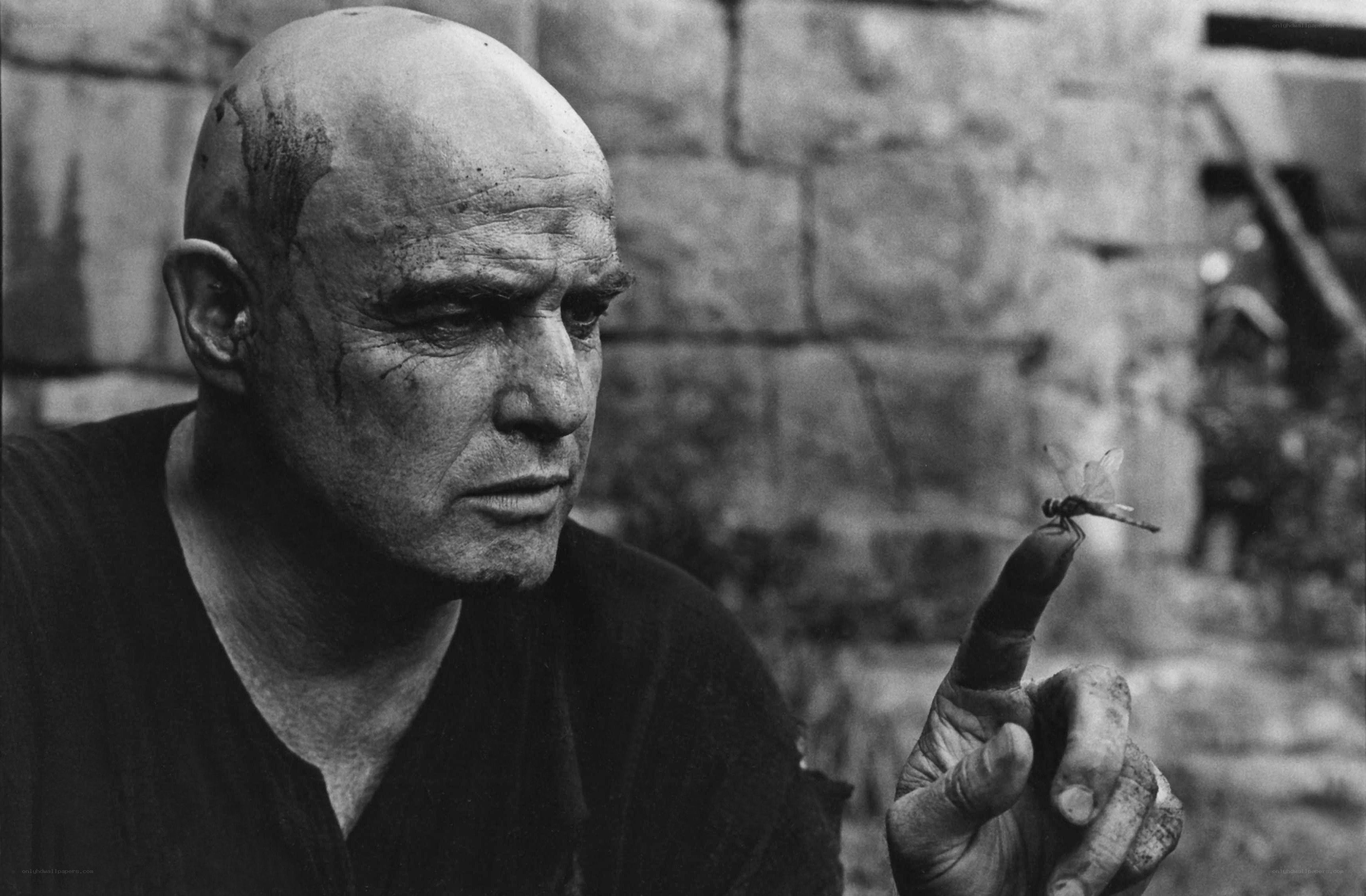 man with dragonfly on finger