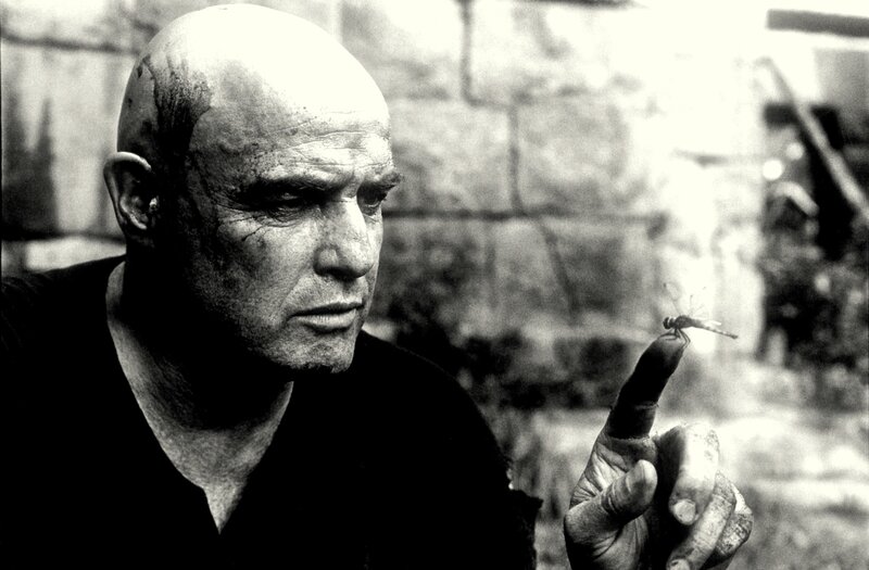 man with dragonfly on finger