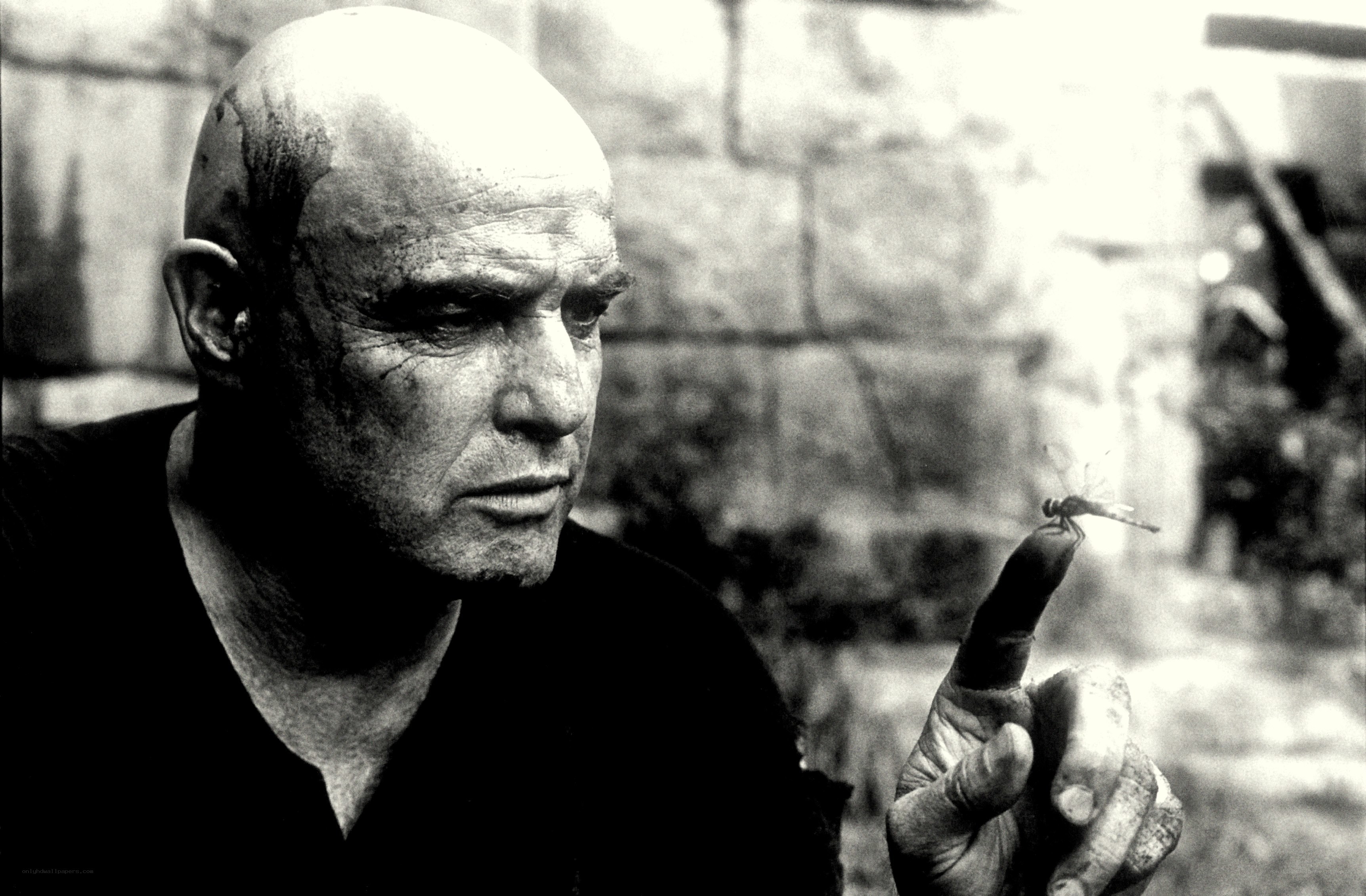 man with dragonfly on finger