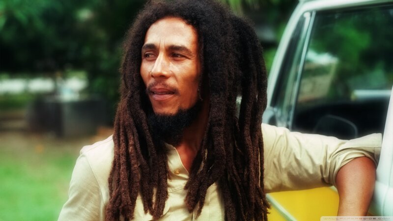 Man with Dreadlocks — Brown, Calm