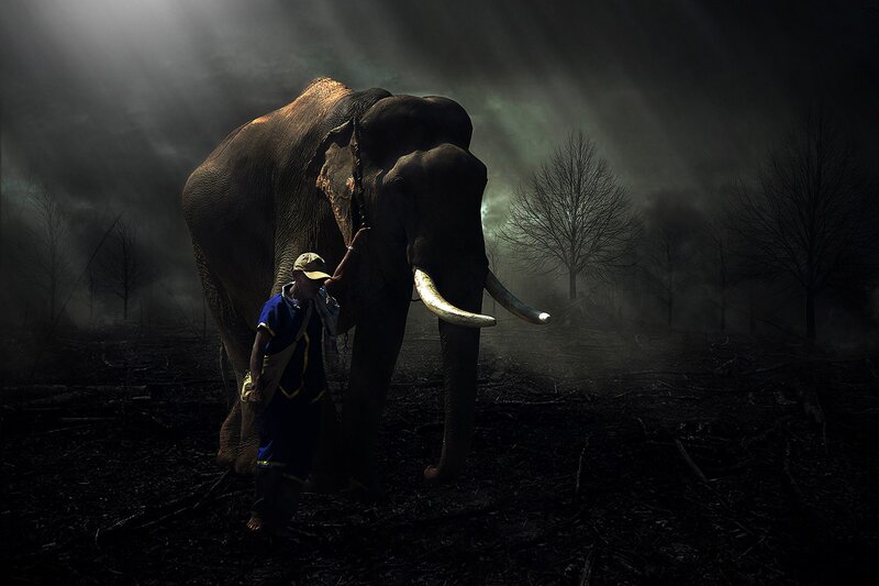 Man with Elephant — Black