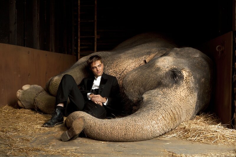 Man with Elephant — Brown