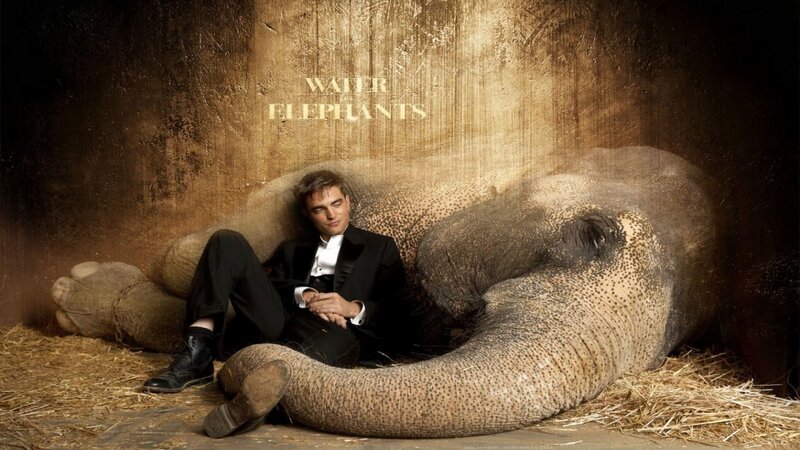 Man with Elephant
