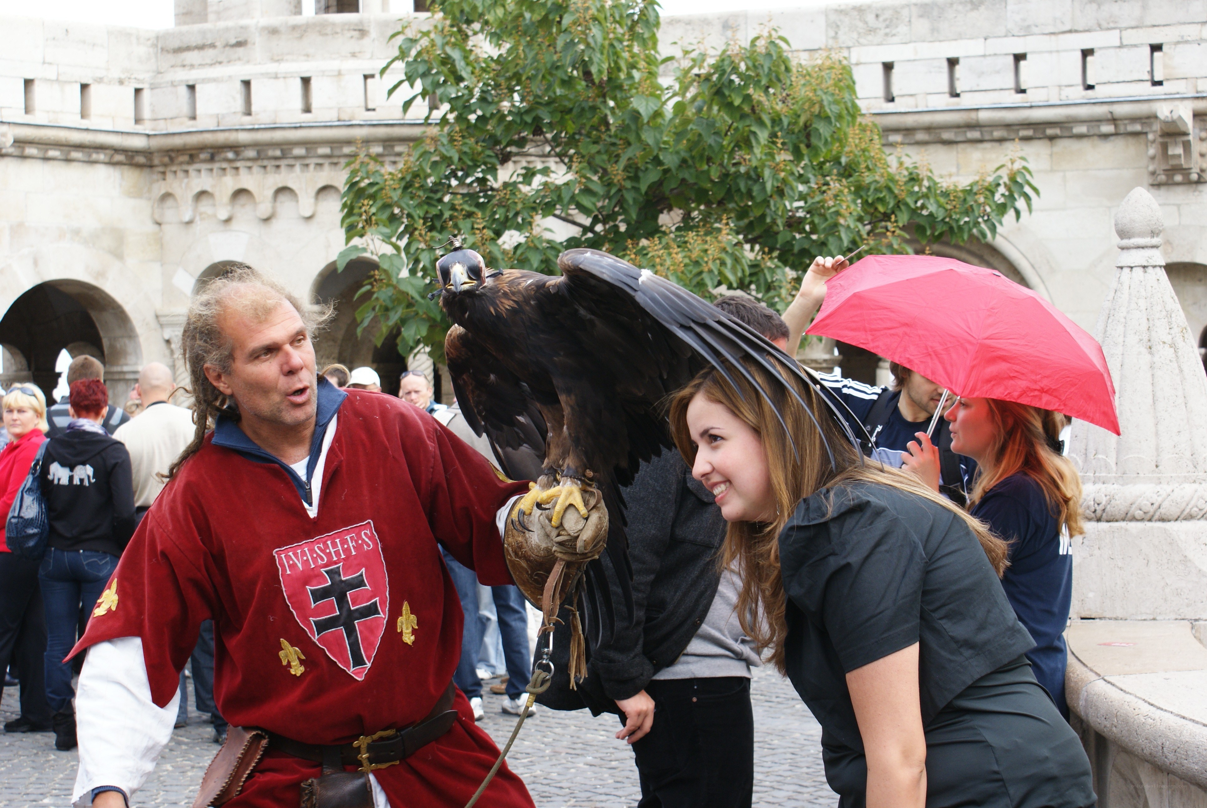 Man with falcon at castle