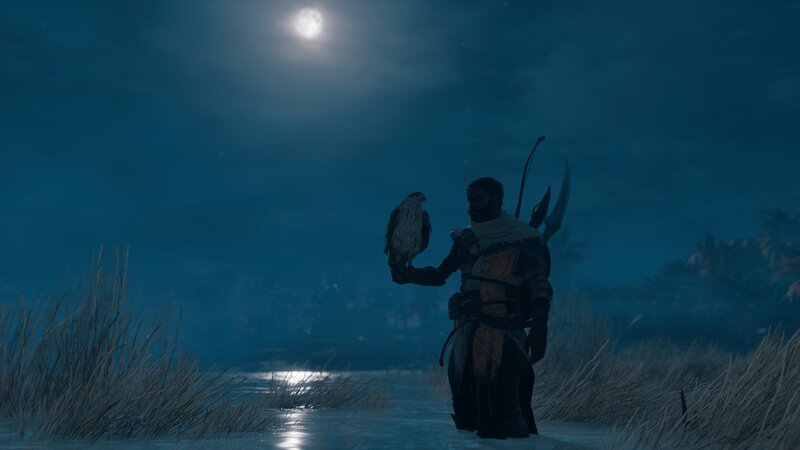 Man with Falcon at Night