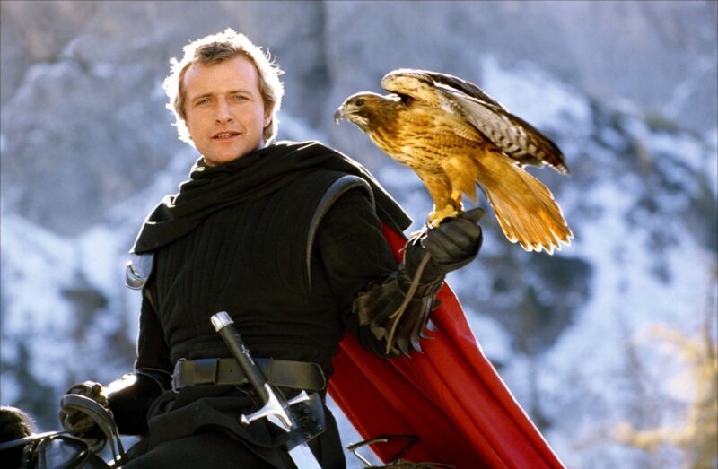 Man with falcon on arm