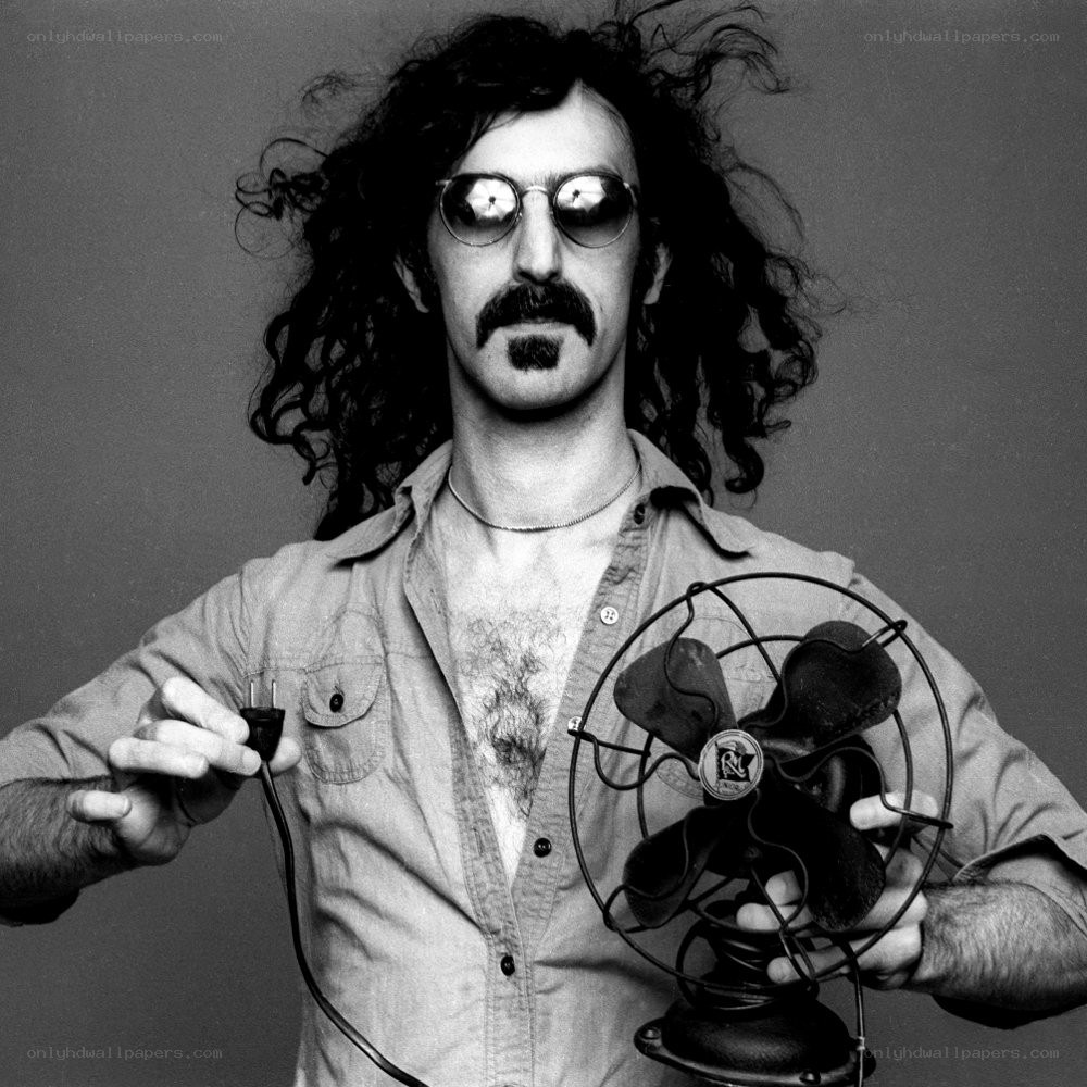 Man with fan and plug