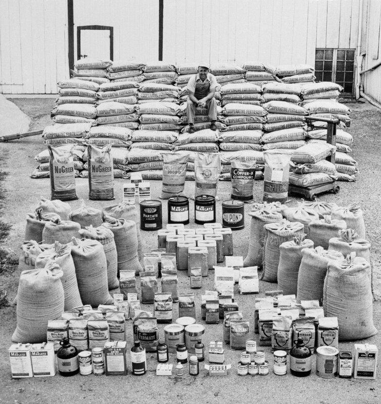 Man with fertilizer and agricultural products
