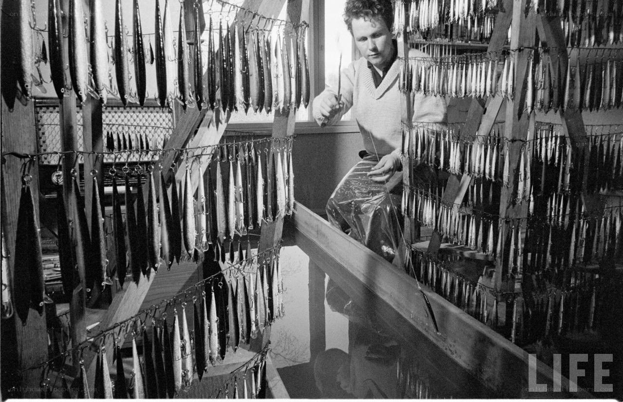 Man with fishing lures in workshop