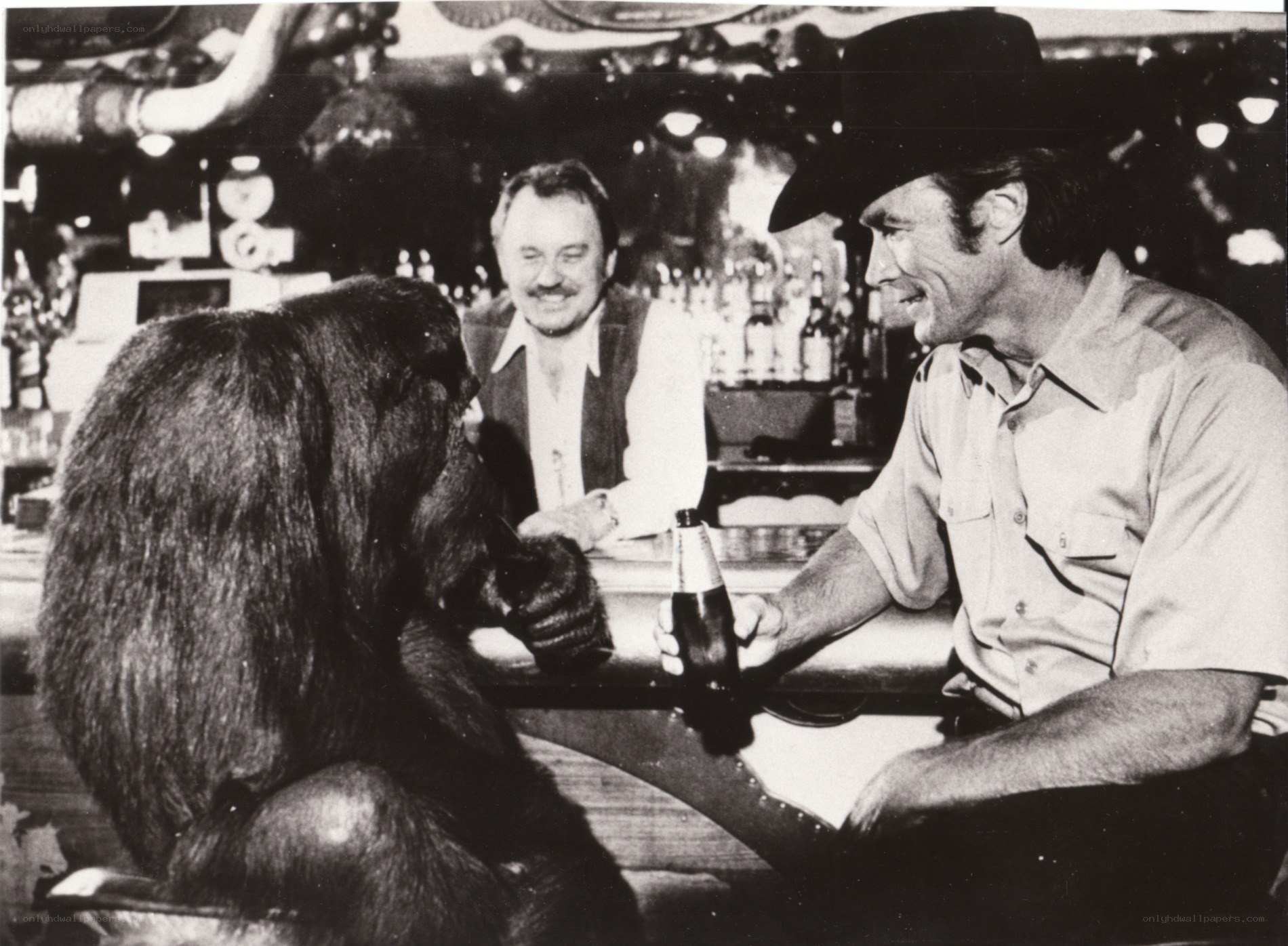 Man with gorilla at bar