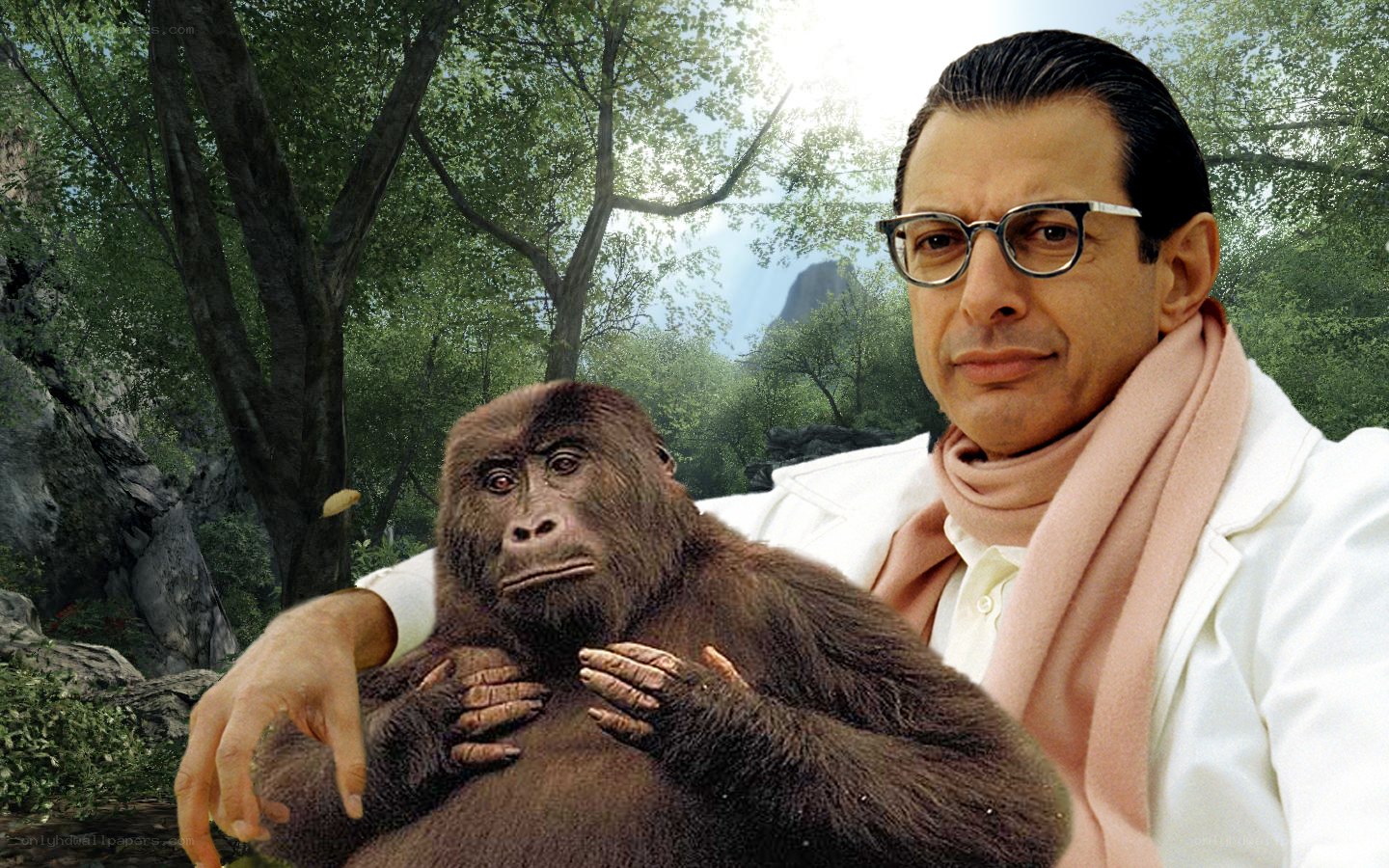 man with gorilla in forest