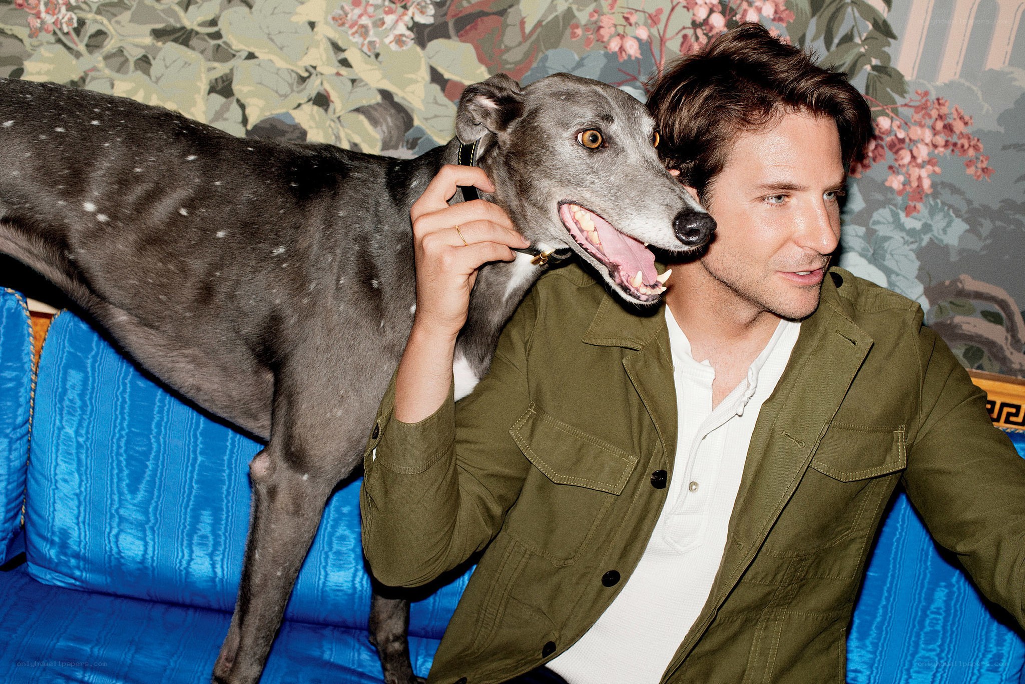 Man with greyhound on couch