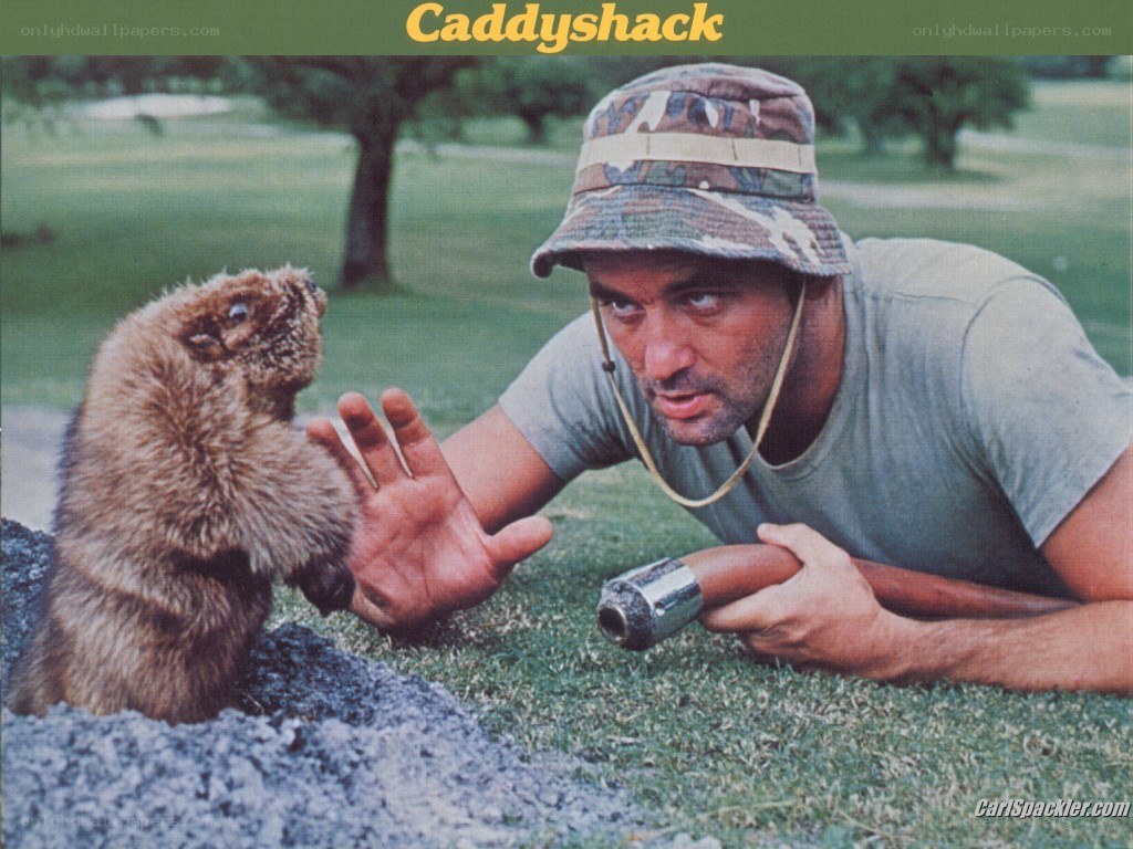 Man with groundhog on golf course