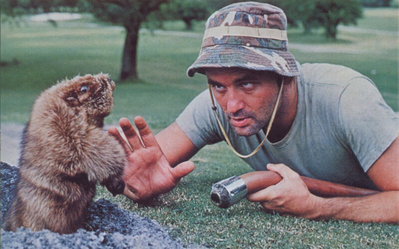 man with gun and groundhog