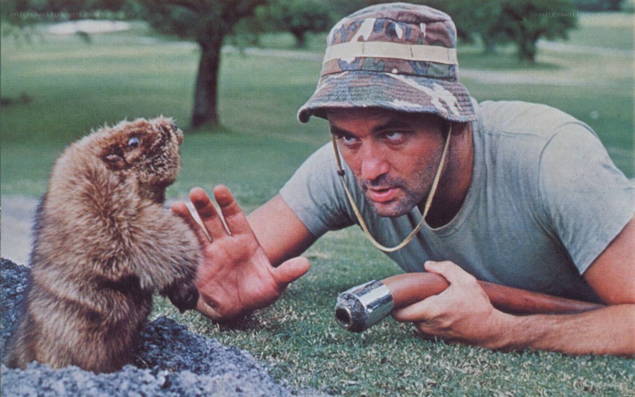 man with gun and groundhog