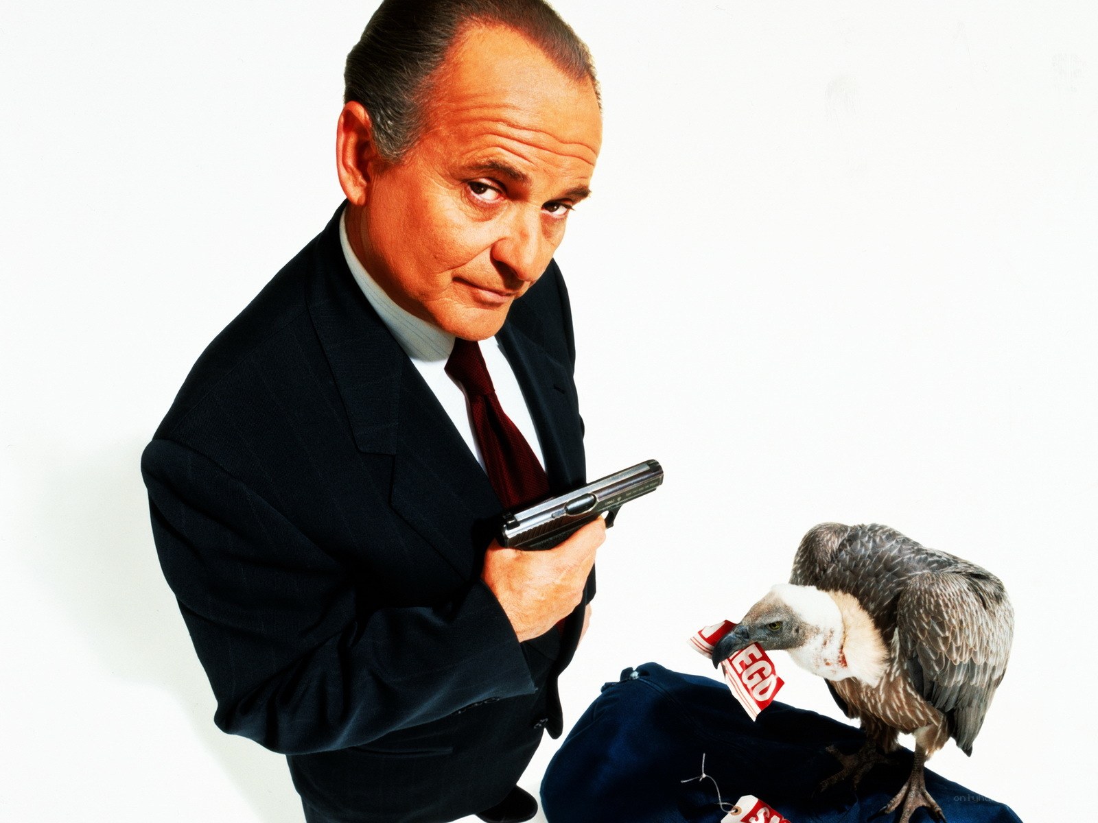 Man with gun and vulture
