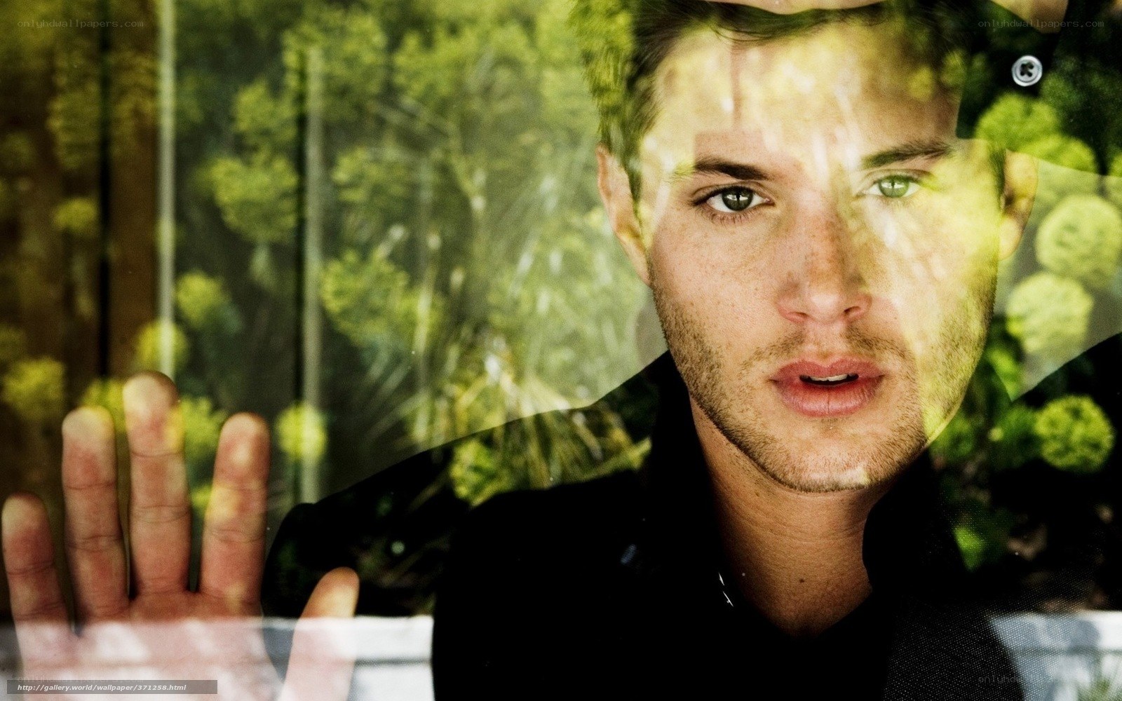 man with hand on glass
