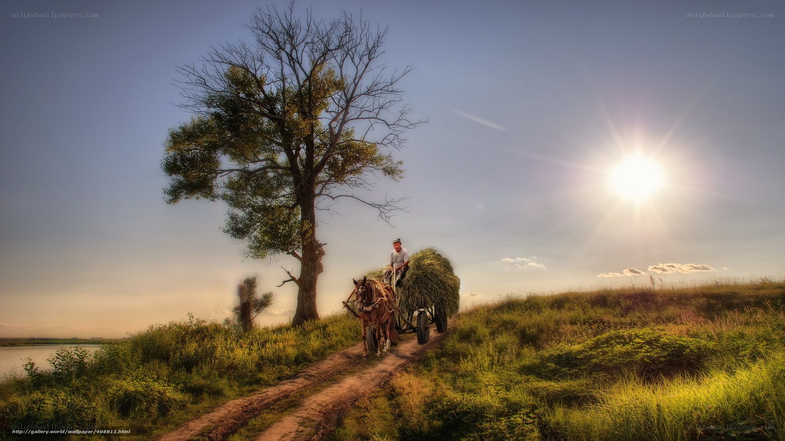 Man with hay cart on a hill