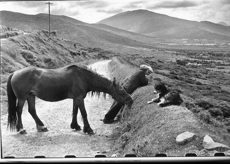Man with horse and dog on a hill