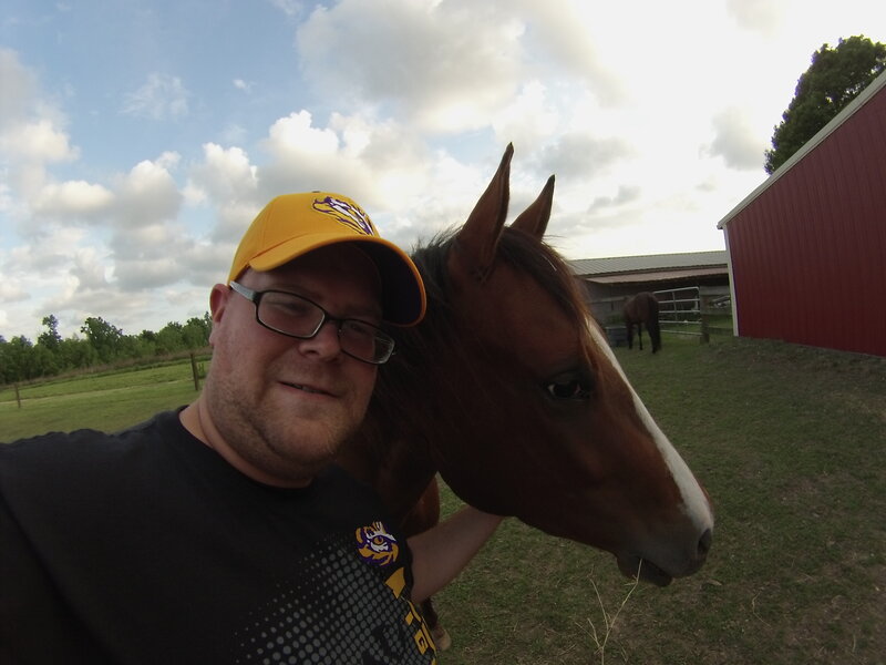 Man with Horse — Brown, Calm, Afternoon