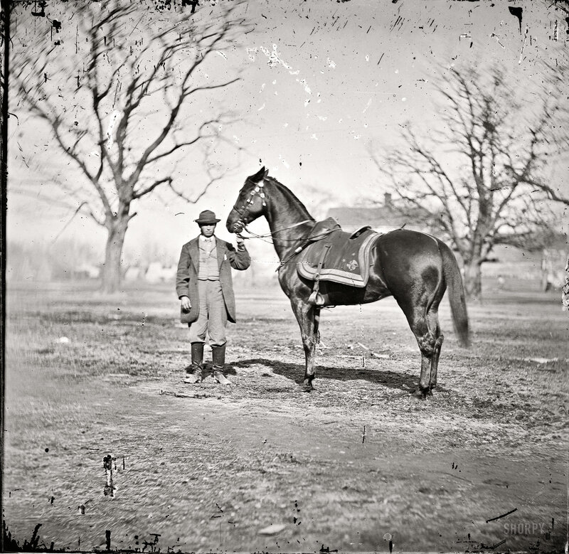 Man with horse in field