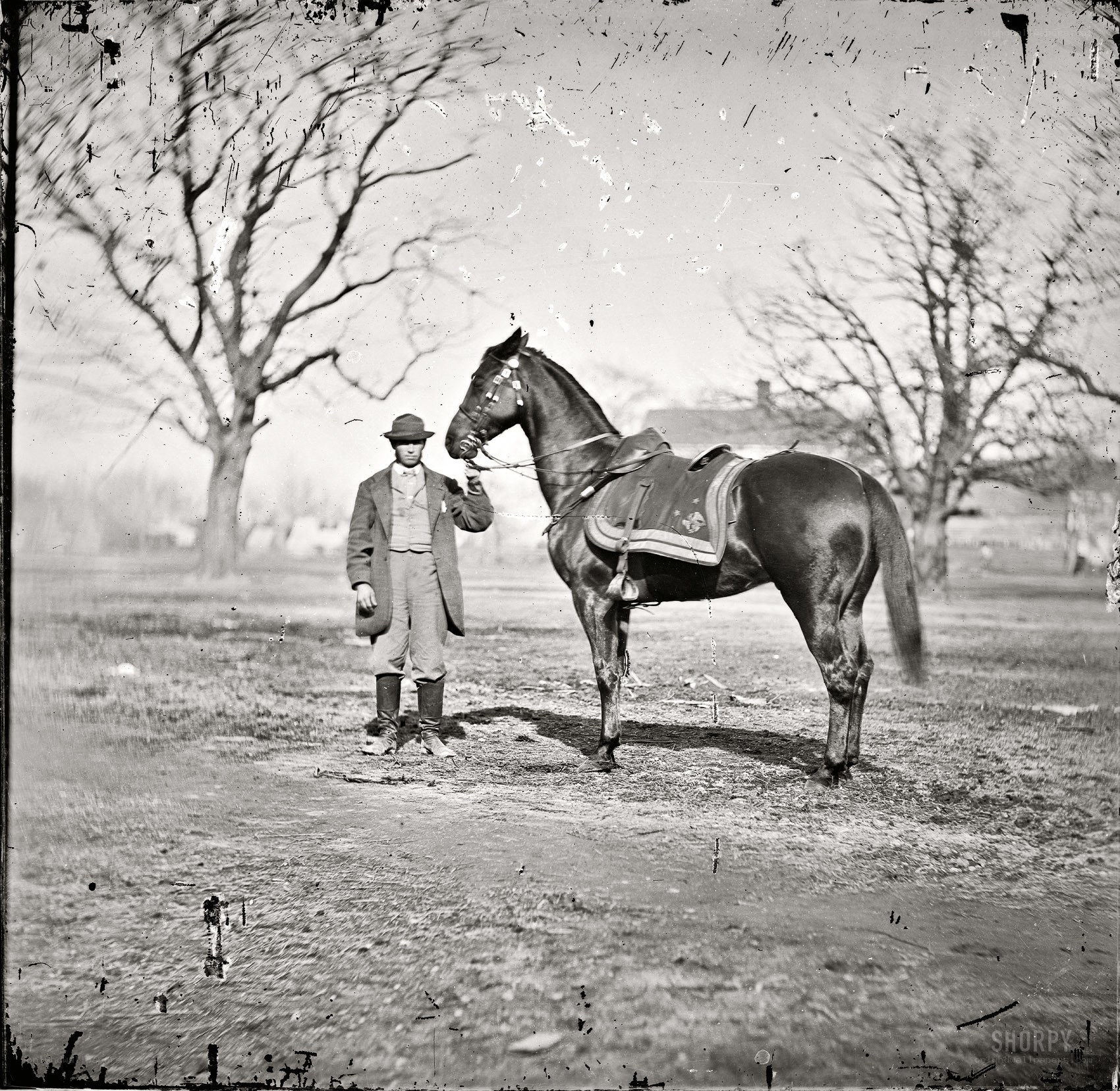 Man with horse in field