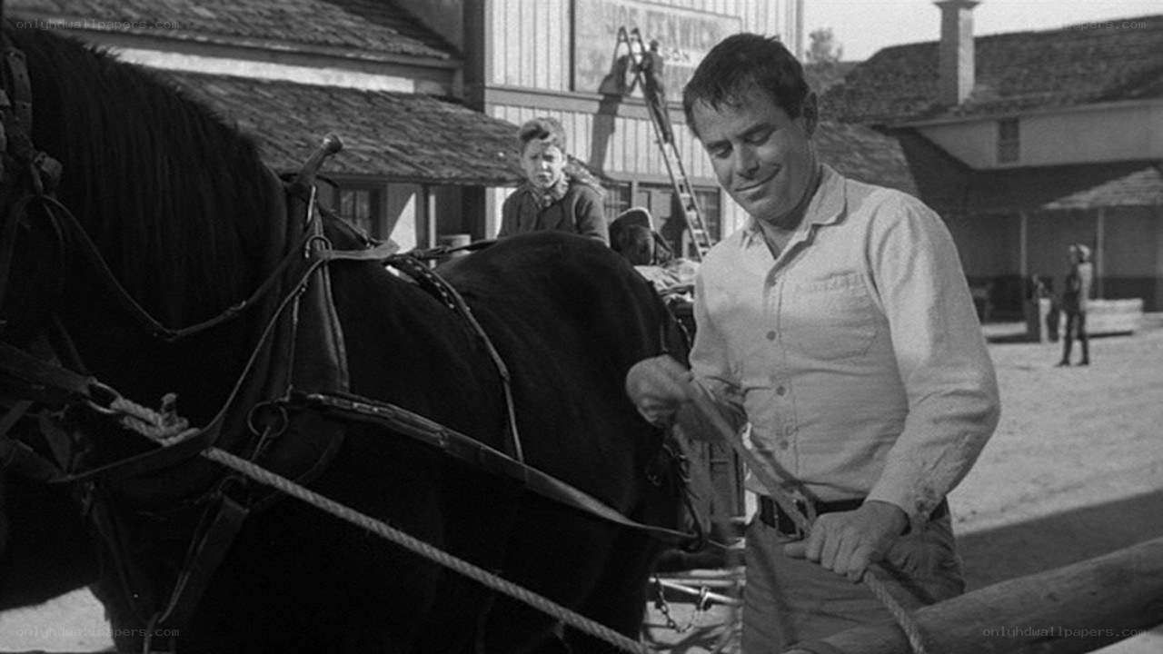 Man with horse in town