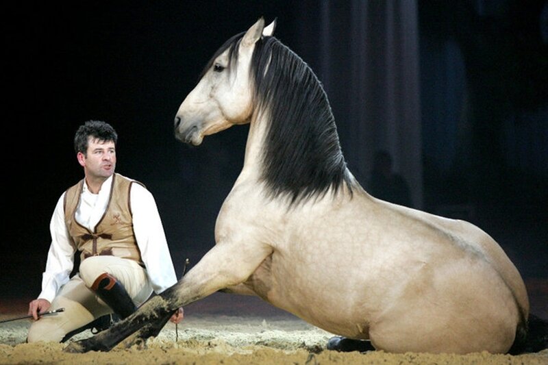 Man with Horse