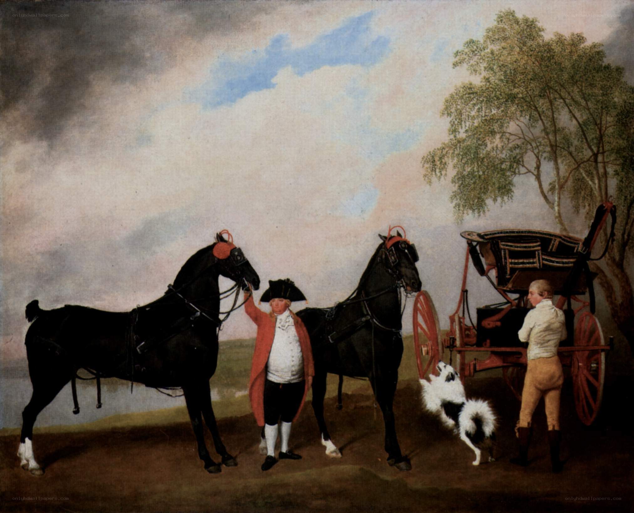 Man with horses and carriage