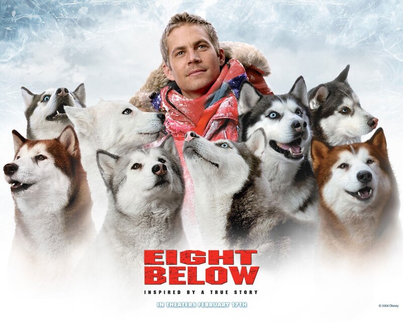 Man with Husky Dogs — White, Adventurous