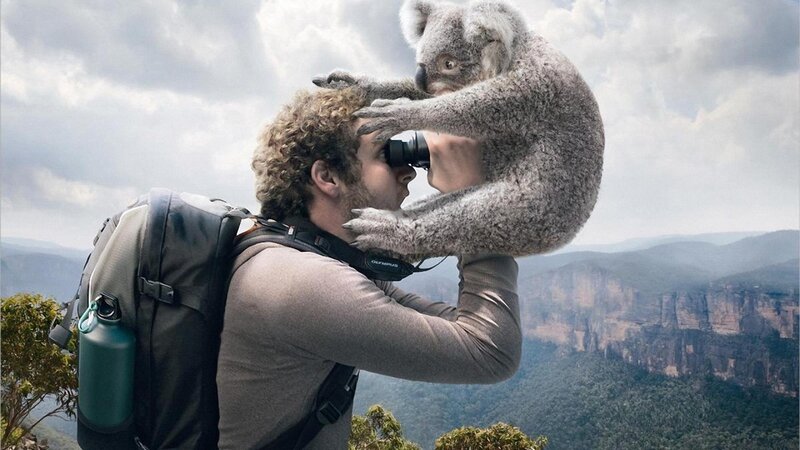 Man with Koala on Shoulder — Gray