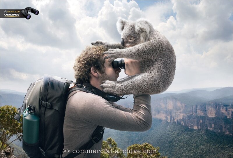 man with koala on shoulder