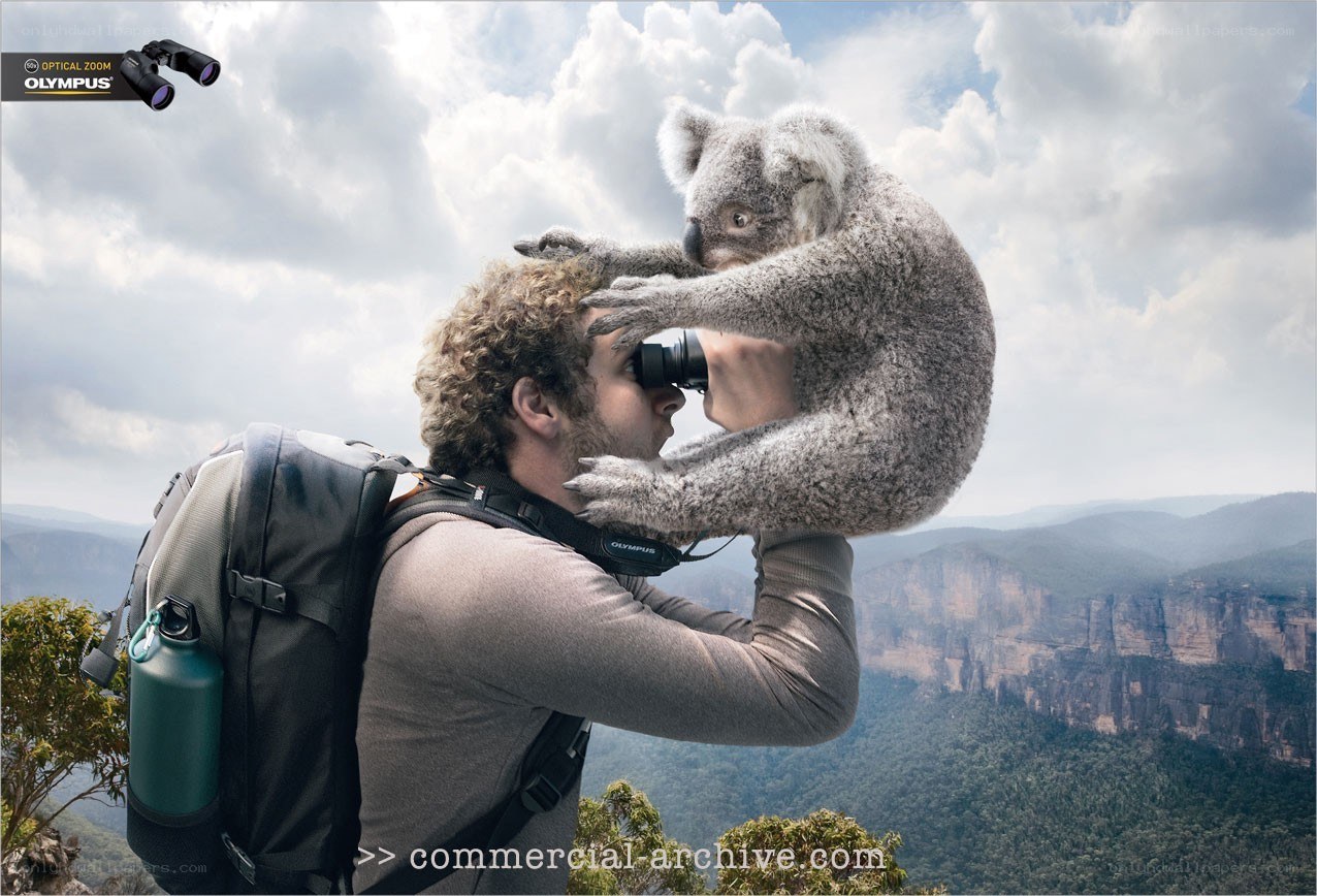 man with koala on shoulder