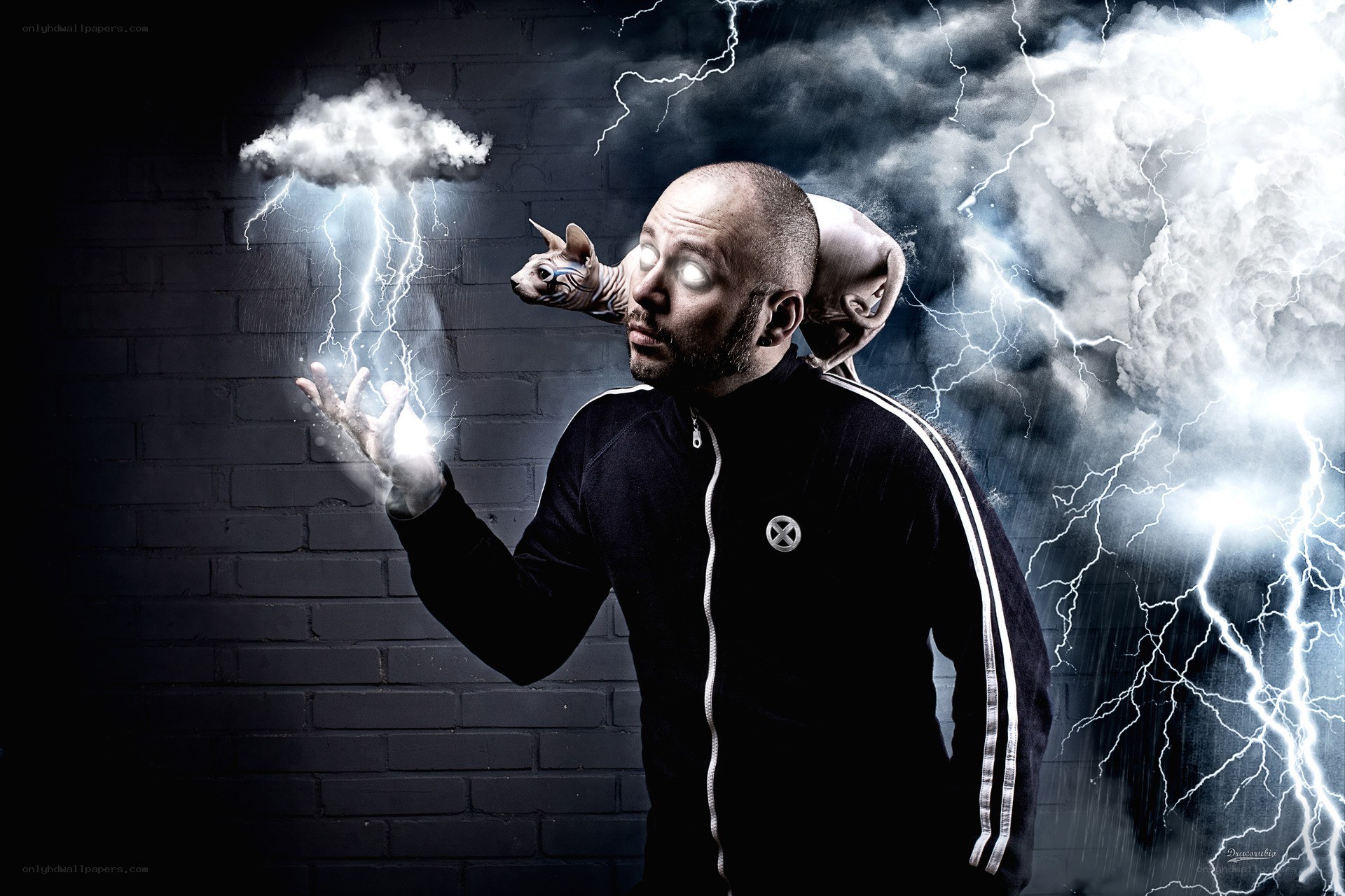 man with lightning and cat