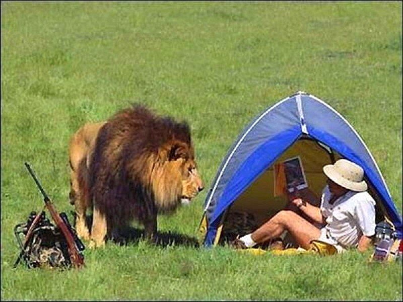 Man with lion near tent