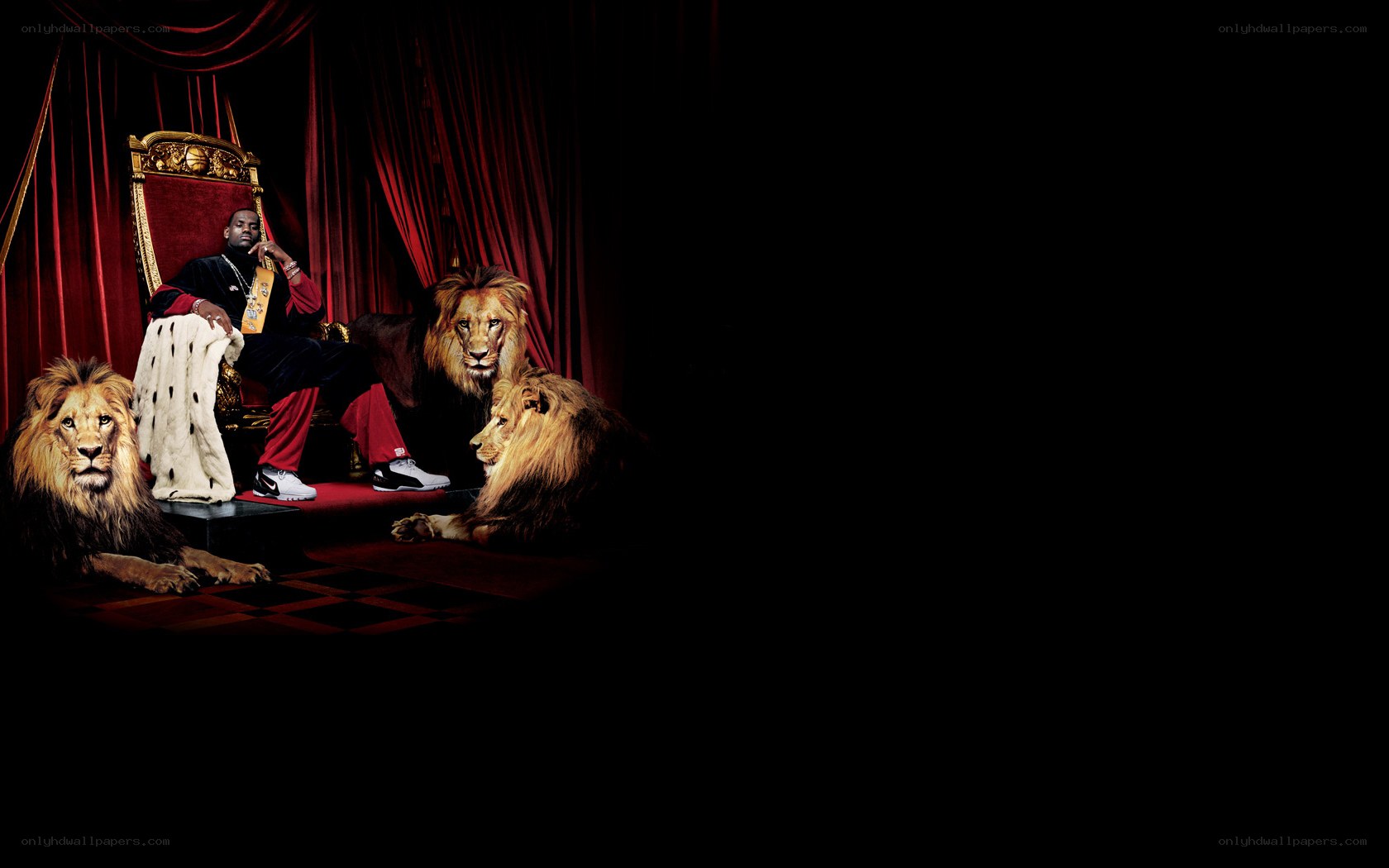 man with lions on throne